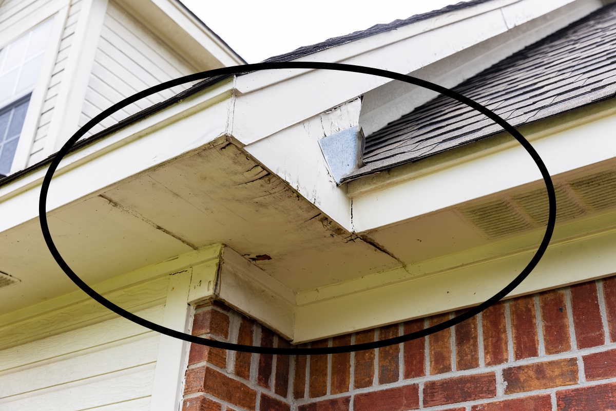 Picture of damaged fascia and soffit